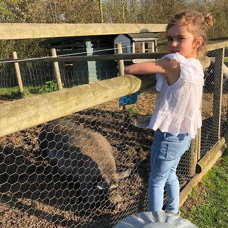 Willow Court Farm Studio East & Petting Farm, 8 Mins To Legoland & Windsor, 15 Mins To Lapland Uk Luaran gambar
