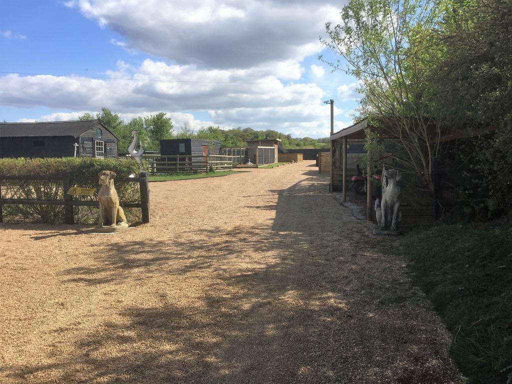 Willow Court Farm Studio East & Petting Farm, 8 Mins To Legoland & Windsor, 15 Mins To Lapland Uk Luaran gambar
