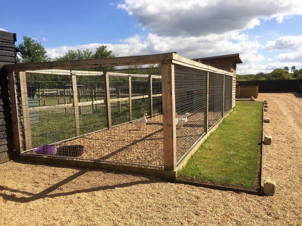 Willow Court Farm Studio East & Petting Farm, 8 Mins To Legoland & Windsor, 15 Mins To Lapland Uk Luaran gambar