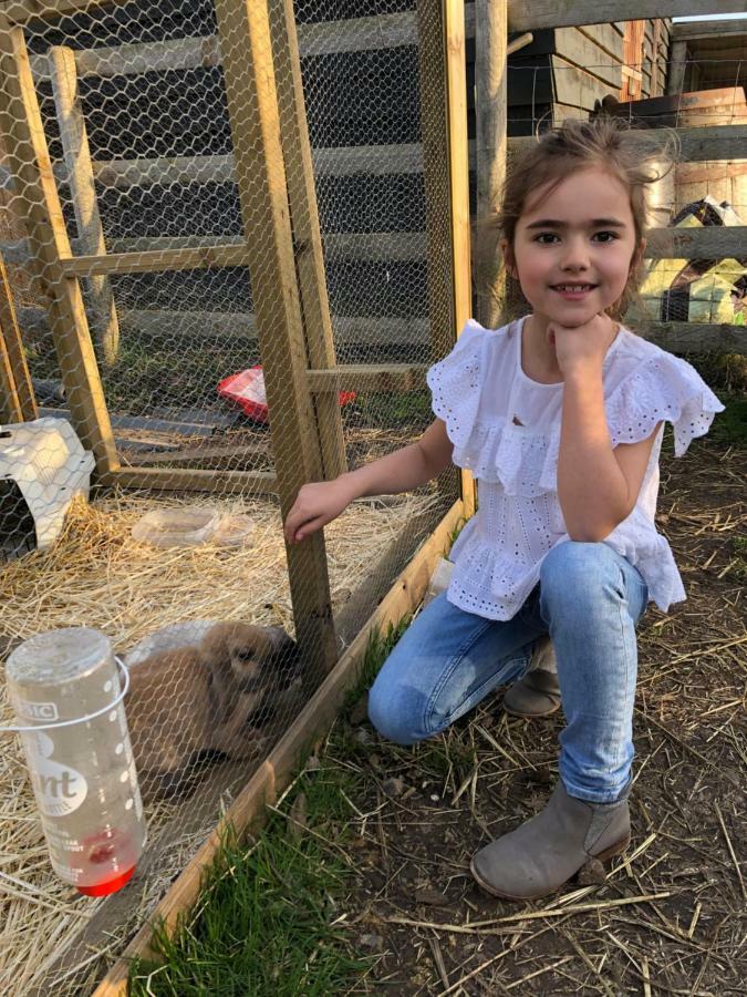 Willow Court Farm Studio East & Petting Farm, 8 Mins To Legoland & Windsor, 15 Mins To Lapland Uk Luaran gambar