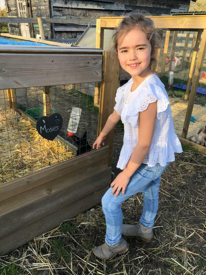 Willow Court Farm Studio East & Petting Farm, 8 Mins To Legoland & Windsor, 15 Mins To Lapland Uk Luaran gambar