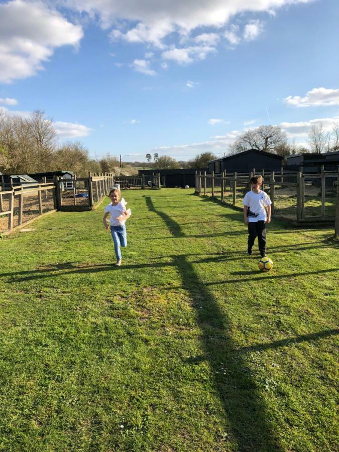 Willow Court Farm Studio East & Petting Farm, 8 Mins To Legoland & Windsor, 15 Mins To Lapland Uk Luaran gambar