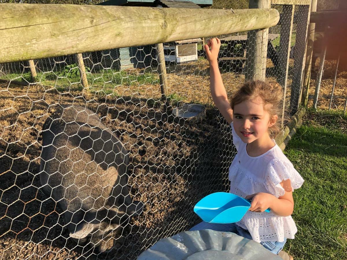 Willow Court Farm Studio East & Petting Farm, 8 Mins To Legoland & Windsor, 15 Mins To Lapland Uk Luaran gambar